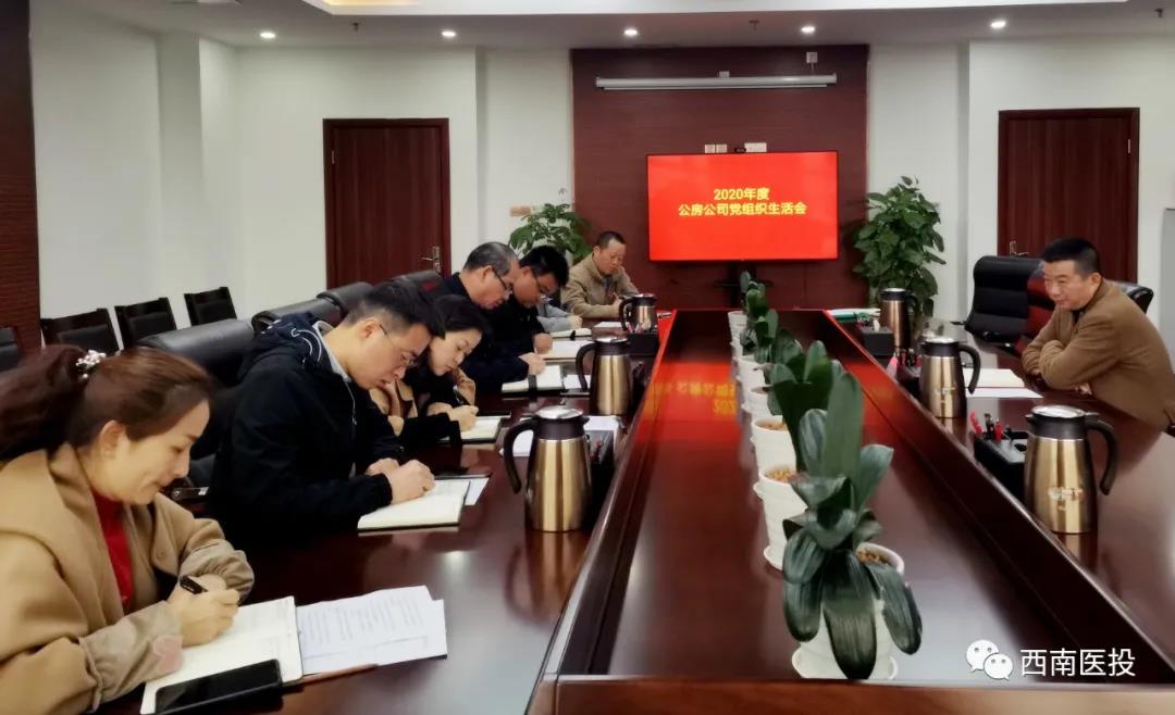 西南醫(yī)投集團(tuán)各基層黨支部召開2020年度組織生活會(huì)、開展民主評(píng)議黨員工作